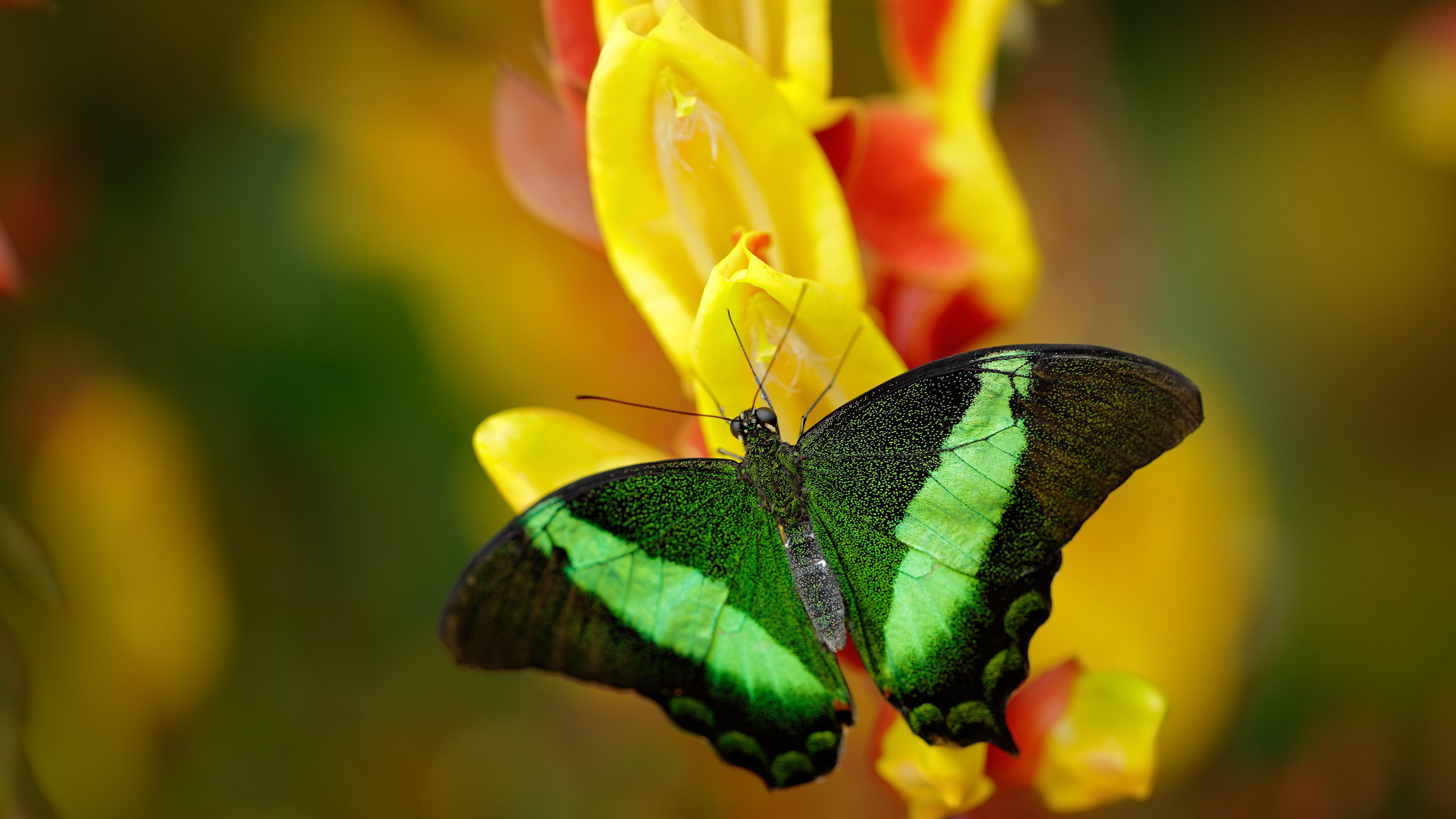 中国射箭队热身赛表现稳定,中国射箭男队