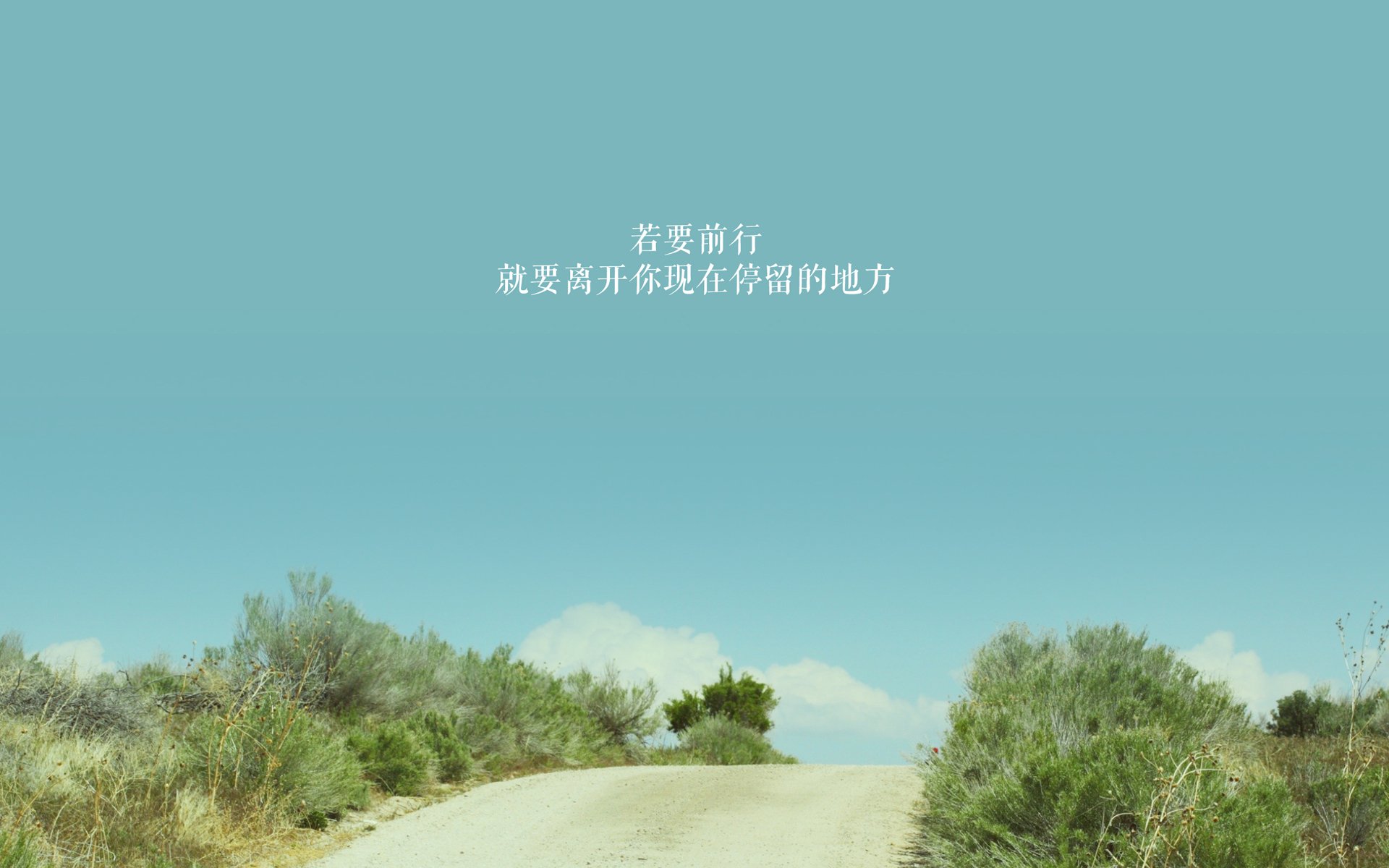 罗马尼亚队赛制策略解读:团体赛中的队员配置与战术选择,罗马尼亚足球联赛规则