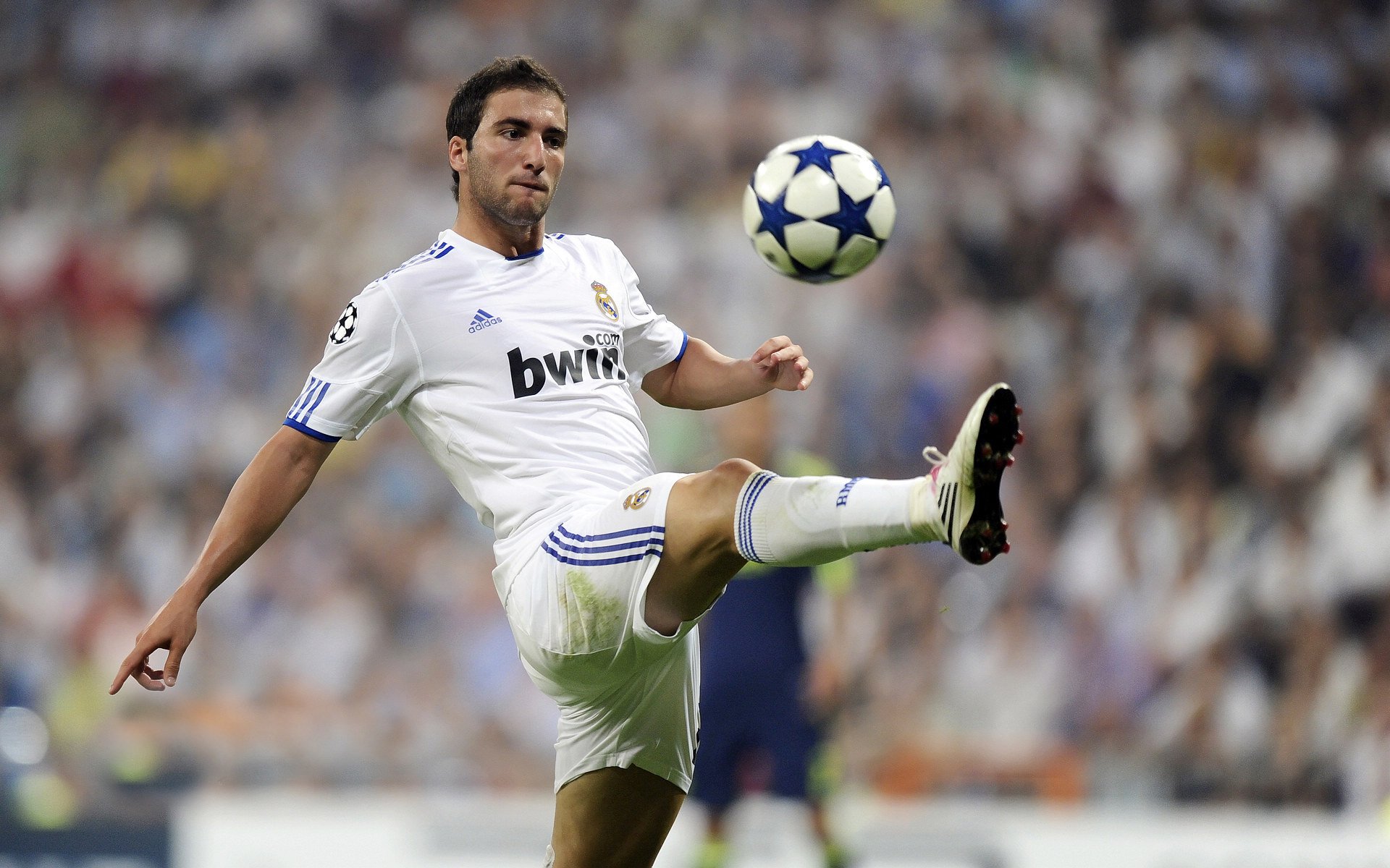 凯恩·瑞安：全黑队的战术引擎，让球队进攻更具组织性，凯恩we